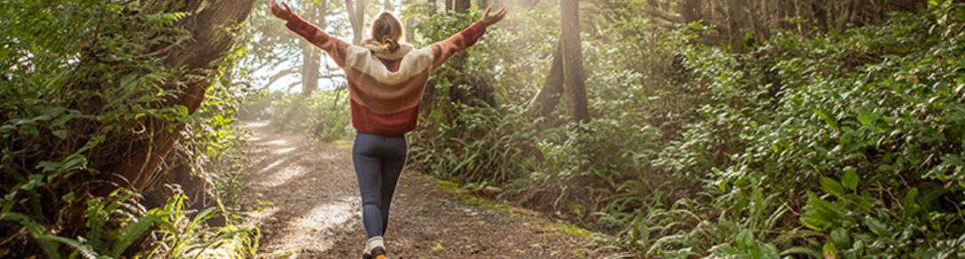 Photograph of a woman walking down a path in a sunlit forest